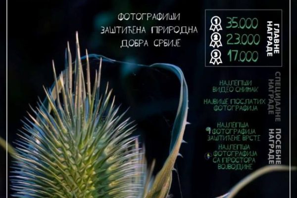 Viki voli Zemlju: Konkurs za fotografije zaštićenih prirodnih dobara širom sveta