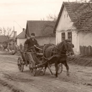Martin Daper Švaba iz kuće kraj pravoslavnog groblja