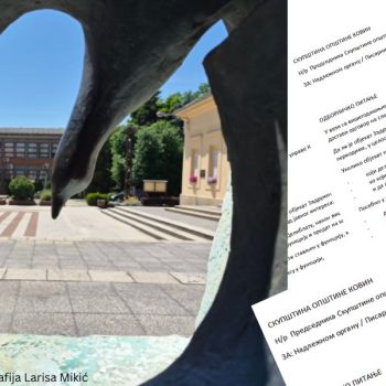 SAOPŠTENJE ZA JAVNOST odbornice Larise Mikić