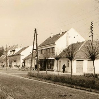 Letnja jara i tišina kovinskih noći