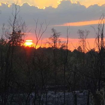 Eko zona: Peščara nestaje pred našim očima