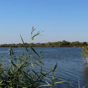 SRP „Kraljevac“ nakon požara u Deliblatskoj peščari