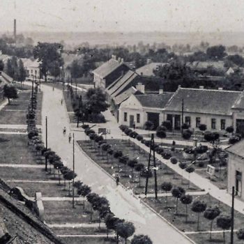 Kovin u fokusu: Priča o komšijama i šalterima