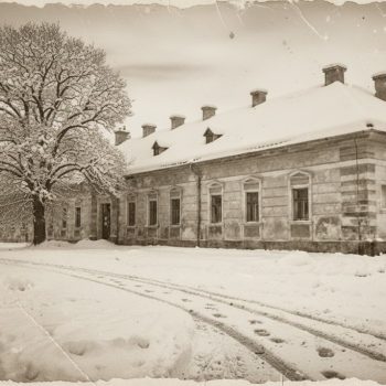 Kovin koji nestaje