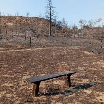 Stanje na požarištima: Umesto kiše ponovo se rasplamsao požar