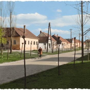 Majstor Zoran, gladna kuca i burek