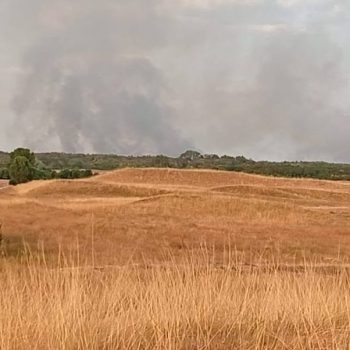 Šumarak se vraća kući. U Pesku i dalje aktivni požari