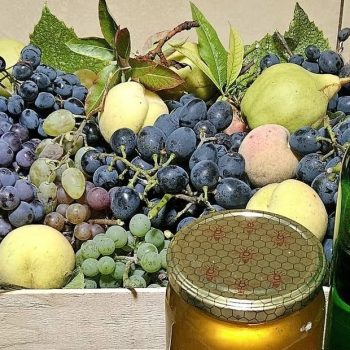 Grožđe, hleb i poštovanje